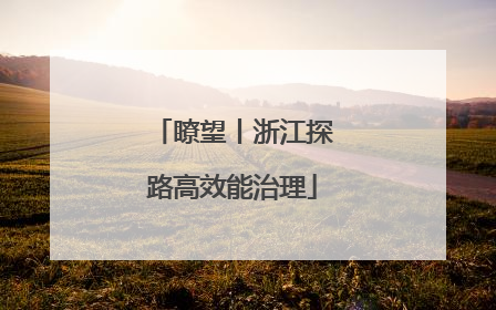 瞭望丨浙江探路高效能治理