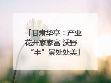 甘肃华亭：产业花开家家富 沃野“丰”景处处美