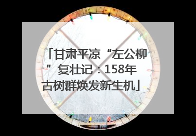甘肃平凉“左公柳”复壮记：158年古树群焕发新生机