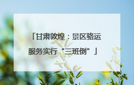 甘肃敦煌：景区骆运服务实行“三班倒”