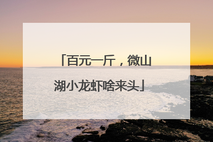 百元一斤，微山湖小龙虾啥来头