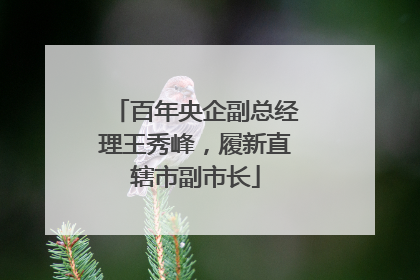 百年央企副总经理王秀峰，履新直辖市副市长