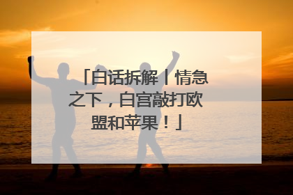 白话拆解丨情急之下，白宫敲打欧盟和苹果！