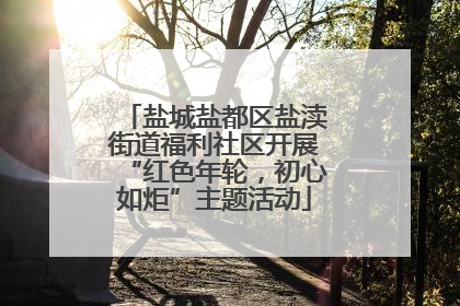 盐城盐都区盐渎街道福利社区开展“红色年轮，初心如炬”主题活动
