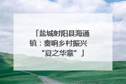 盐城射阳县海通镇：奏响乡村振兴“夏之华章”