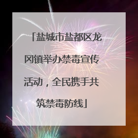 盐城市盐都区龙冈镇举办禁毒宣传活动，全民携手共筑禁毒防线