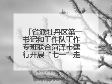 省派牡丹区第一书记和工作队工作专班联合菏泽市建行开展“七一”走访慰问暨红色教育活动