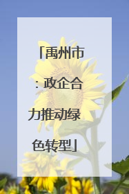 禹州市：政企合力推动绿色转型