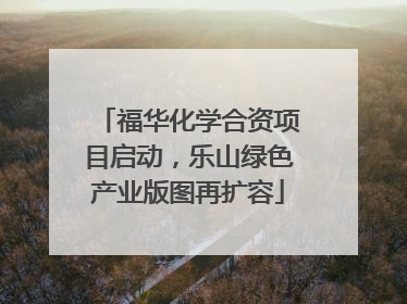 福华化学合资项目启动，乐山绿色产业版图再扩容