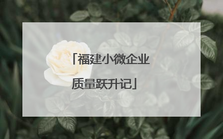 福建小微企业质量跃升记