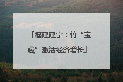 福建建宁：竹“宝藏”激活经济增长