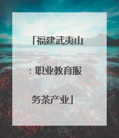 福建武夷山：职业教育服务茶产业