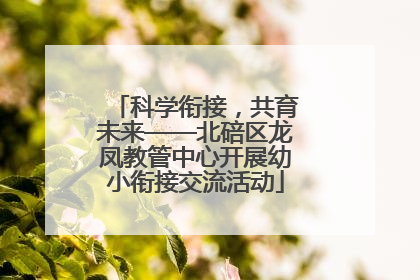 科学衔接，共育未来——北碚区龙凤教管中心开展幼小衔接交流活动