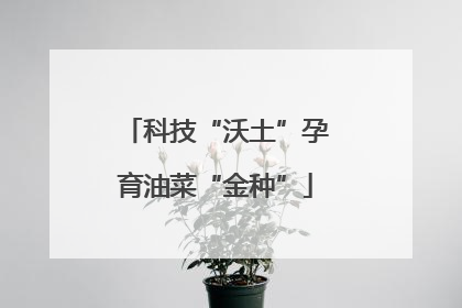 科技“沃土”孕育油菜“金种”