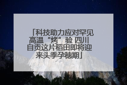 科技助力应对罕见高温“烤”验 四川自贡这片稻田即将迎来头季孕穗期