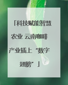 科技赋能智慧农业 云南咖啡产业插上“数字翅膀”