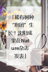 稀有树种“抱团”生长！沈阳成果在Nature杂志发表