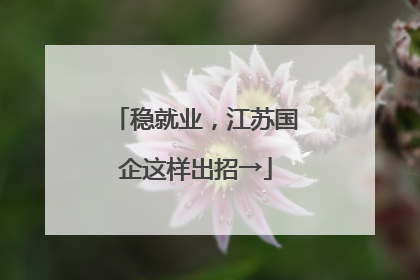 稳就业，江苏国企这样出招→