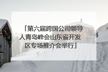 第六届跨国公司领导人青岛峰会山东省开发区专场推介会举行