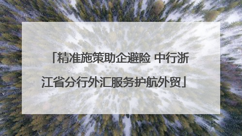 精准施策助企避险 中行浙江省分行外汇服务护航外贸
