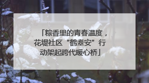 粽香里的青春温度，花堤社区“鹤耋安”行动架起跨代暖心桥