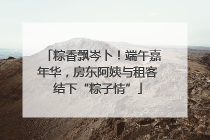 粽香飘岑卜！端午嘉年华，房东阿姨与租客结下“粽子情”