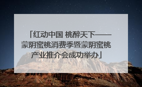 红动中国 桃醉天下——蒙阴蜜桃消费季暨蒙阴蜜桃产业推介会成功举办