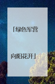 绿色军营 向阳花开