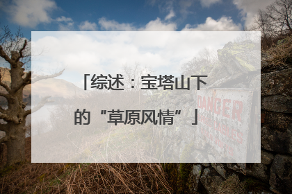 综述：宝塔山下的“草原风情”