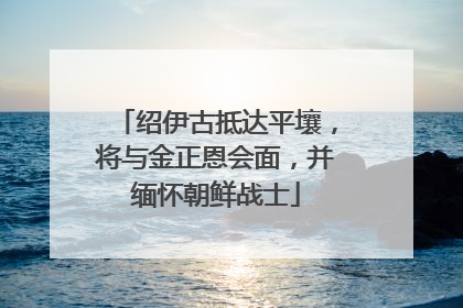 绍伊古抵达平壤，将与金正恩会面，并缅怀朝鲜战士