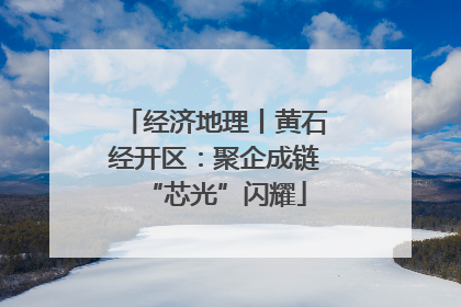经济地理丨黄石经开区：聚企成链“芯光”闪耀