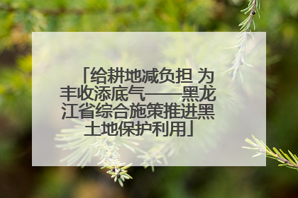 给耕地减负担 为丰收添底气——黑龙江省综合施策推进黑土地保护利用