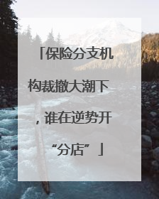 保险分支机构裁撤大潮下，谁在逆势开“分店”