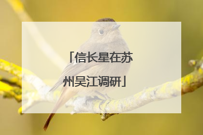 信长星在苏州吴江调研