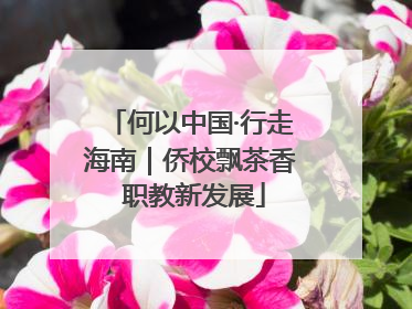 何以中国·行走海南｜侨校飘茶香 职教新发展