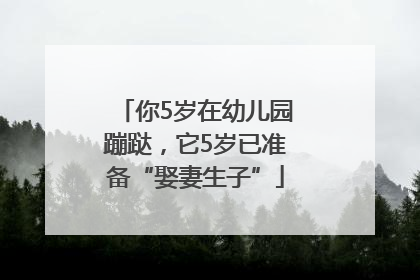 你5岁在幼儿园蹦跶，它5岁已准备“娶妻生子”
