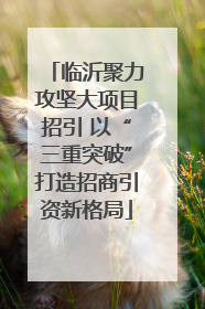 临沂聚力攻坚大项目招引 以“三重突破”打造招商引资新格局
