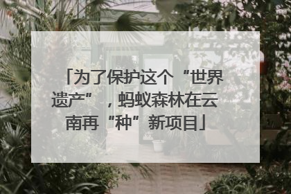 为了保护这个“世界遗产”，蚂蚁森林在云南再“种”新项目