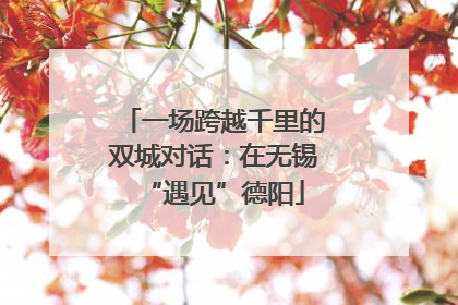 一场跨越千里的双城对话：在无锡“遇见”德阳