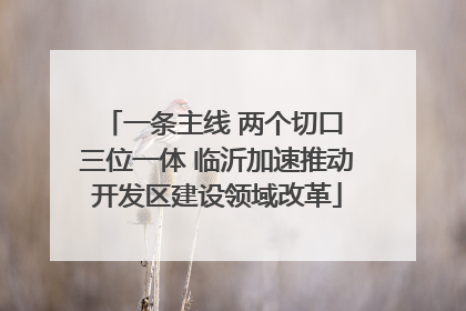 一条主线 两个切口 三位一体 临沂加速推动开发区建设领域改革