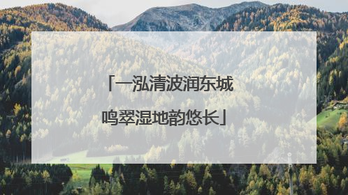 一泓清波润东城 鸣翠湿地韵悠长