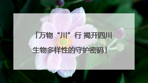 万物“川”行 揭开四川生物多样性的守护密码