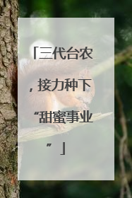 三代台农，接力种下“甜蜜事业”