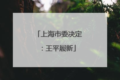 上海市委决定：王平履新