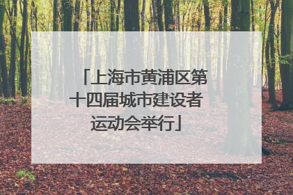 上海市黄浦区第十四届城市建设者运动会举行