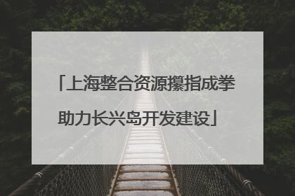 上海整合资源攥指成拳助力长兴岛开发建设
