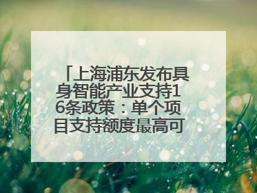 上海浦东发布具身智能产业支持16条政策：单个项目支持额度最高可达亿级