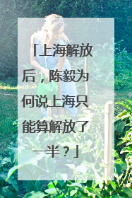 上海解放后，陈毅为何说上海只能算解放了一半？