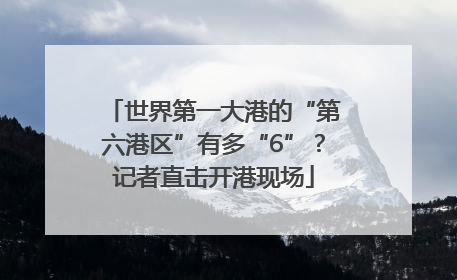 世界第一大港的“第六港区”有多“6”？记者直击开港现场