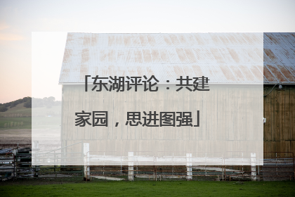 东湖评论：共建家园，思进图强